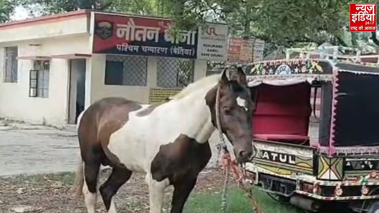 बिहार में शराब तस्करी का अजीबोगरीब तरीका, घोड़े से हो रही थी सप्लाई, पुलिस ने लिया हिरासत में!