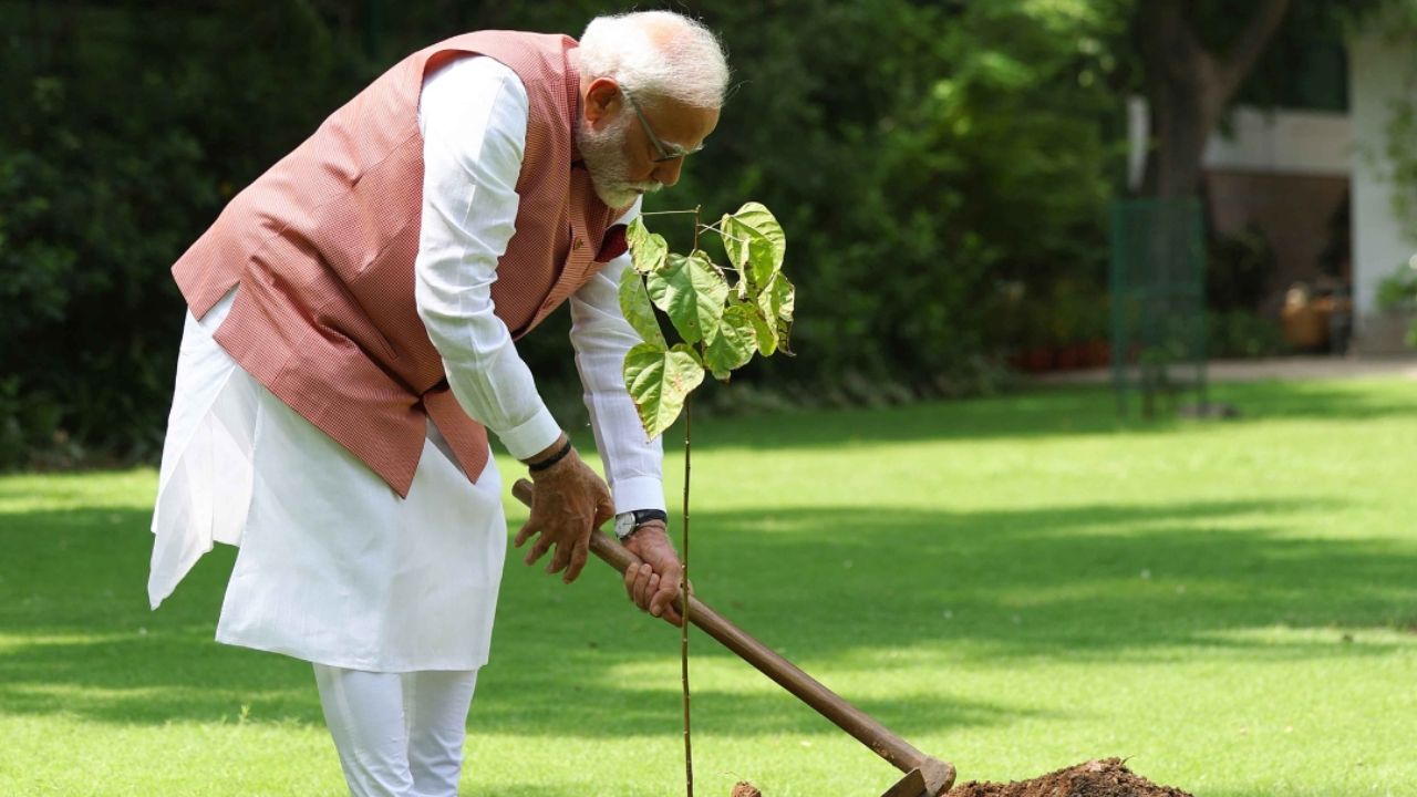 प्रधानमंत्री मोदी ने PM आवास में लगाया सिंदूर का पौधा, कहा- नारी शक्ति का प्रतीक है पौधा रोपण