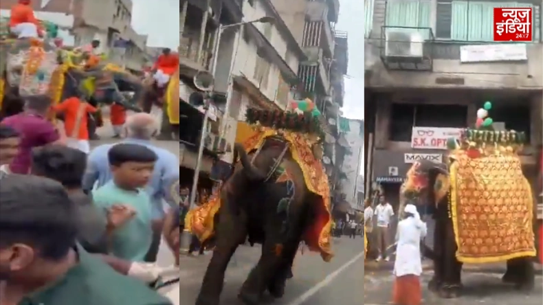 अहमदाबाद जगन्नाथ रथयात्रा में अचानक बेकाबू हुआ हाथी, भक्तों पर कर दिया हमला