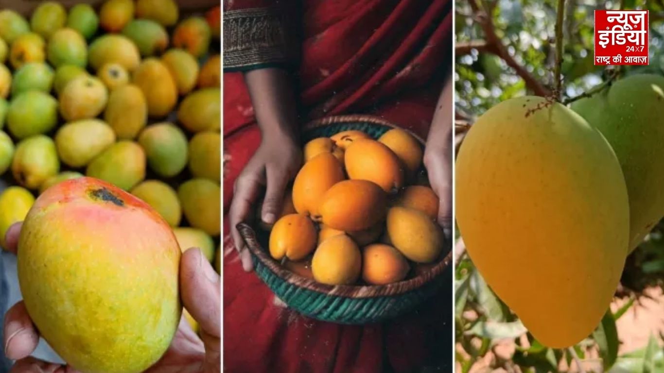 उत्तर प्रदेश के दशहरी की खुशबू पहुंची गल्फ तक, 1200 किलो आम पहुंचा दुबई