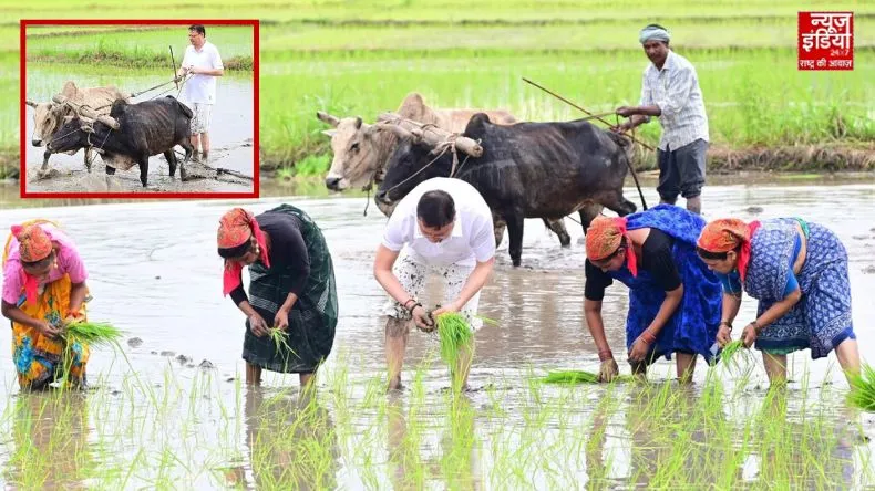 हल जोतते दिखे उत्तराखंड के सीएम पुष्कर सिंह धामी, धान की रोपाई कर पुराने दिन किया याद