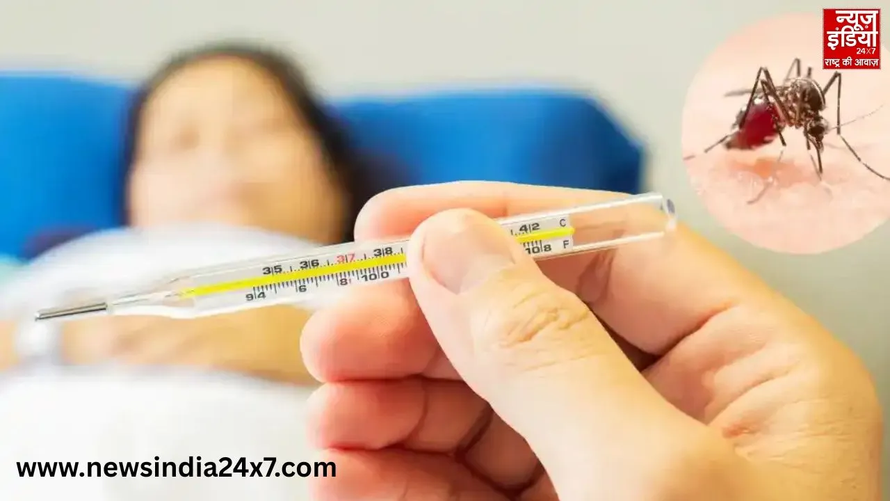 डेंगू है या मामूली बुखार? इन लक्षणों से करें पहचान!