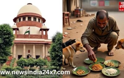 Delhi-NCR में स्ट्रे डॉग्स पर Supreme Court का फैसला -फीडिंग पॉइंट तय होंगे, पब्लिक प्लेस पर बैन