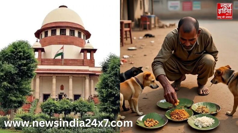 Supreme Court’s decision on stray dogs in Delhi-NCR today Supreme Court's decision on stray dogs in Delhi-NCR today
