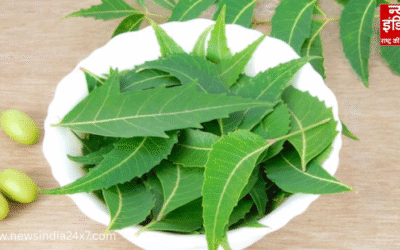 सुबह खाली पेट नीम की पत्तियां खाने से दूर होंगी ये 4 परेशानियां, जानें फायदे..