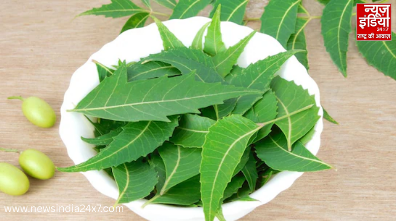 Benefits of Neem Leaves