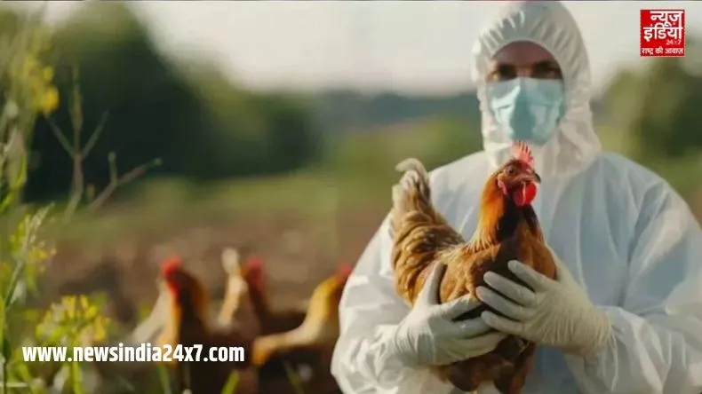 यूपी में बर्ड फ्लू अलर्ट : सीएम योगी के निर्देश पर प्राणी उद्यान से पोल्ट्री फार्म तक कड़ी निगरानी शुरू