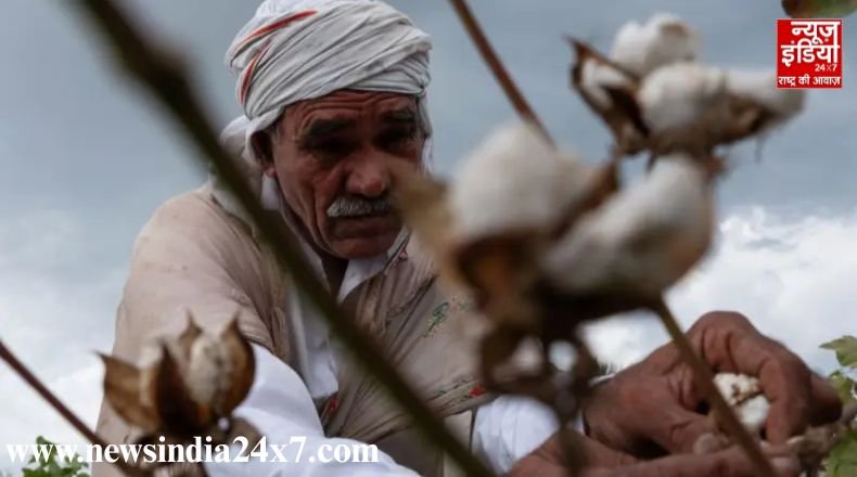 Cotton Import Exemption in import duty on cotton extended till 31 December 2025