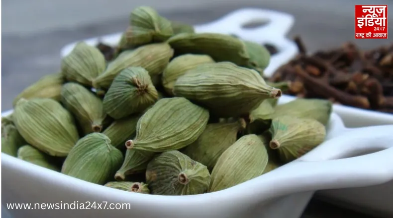 Green Cardamom : इलायची का कमाल! स्वाद के साथ ब्लड प्रेशर और दिल की सेहत का रखे ख्याल