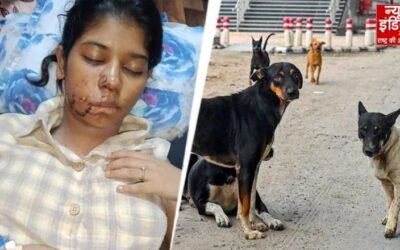 कानपुर में आवारा कुत्तों ने किया जानलेवा हमला, BBA छात्रा के चेहरे पर लगे 17 टांके