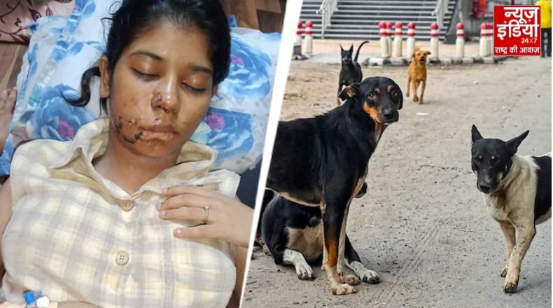 Stray dogs attacked a person in Kanpur Stray dogs attacked a person in Kanpur