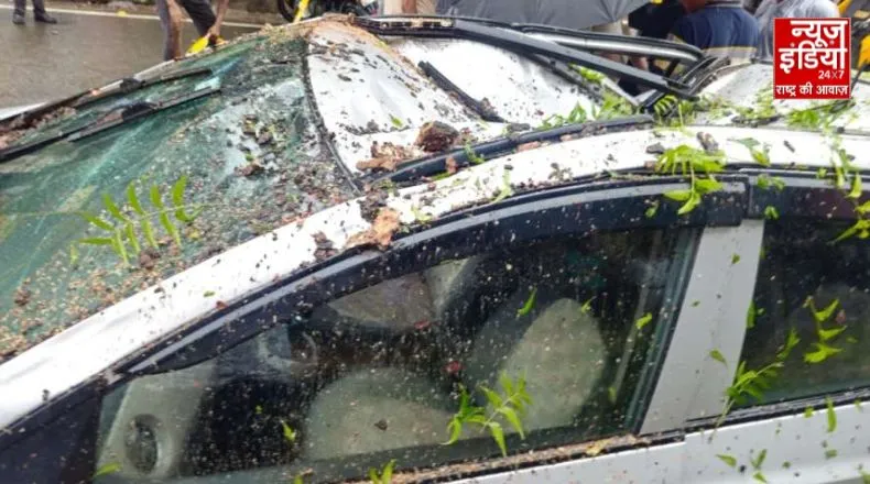 दिल्ली में बारिश का कहर : बाइक और कार पर गिरा पेड़, दर्दनाक हादसे में एक की मौैत, देखिए वीडियो