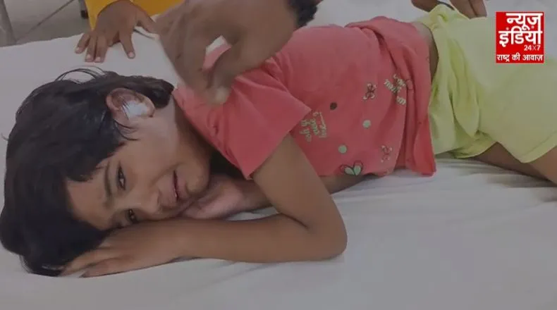 बरेली में आवारा कुत्तों का आतंक जारी, 6 साल की मासूम को नोंचा, वीडियो..