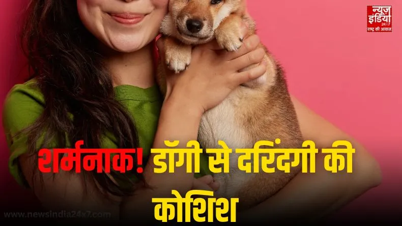 News India 24x7