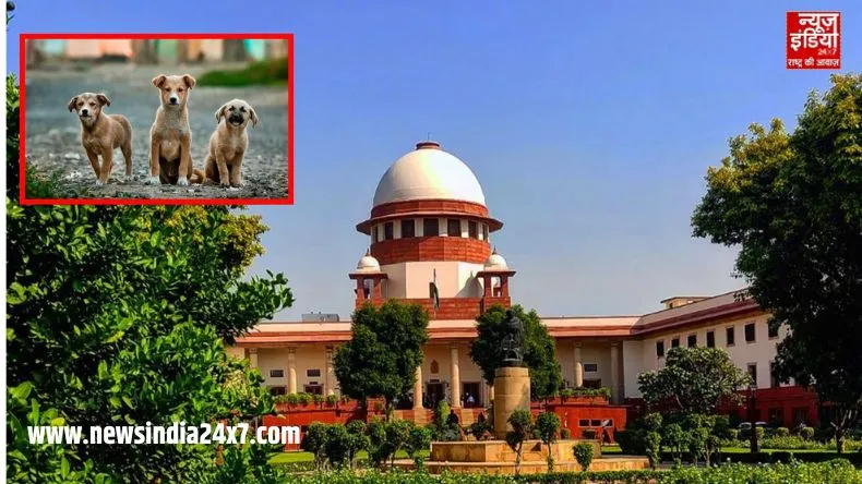 News India 24x7