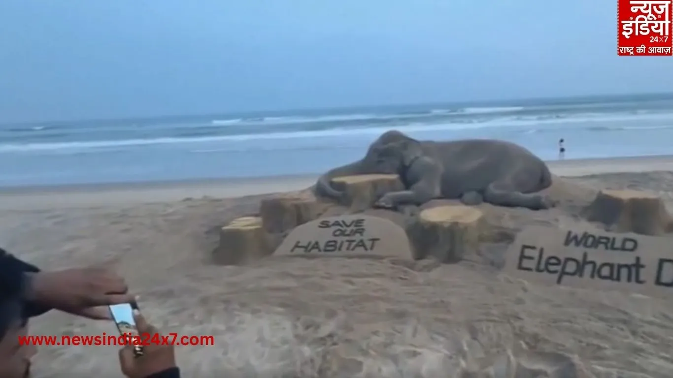 World Elephant Day 2025