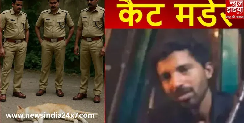 इंस्टाग्राम पर बिल्ली को मारने वाला शख्स गिरफ्तार, सोशल मीडिया पर लोगों में गुस्सा