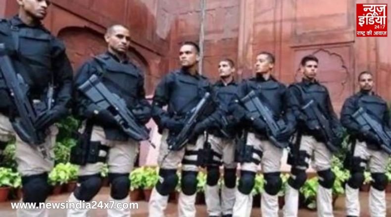 Z category Security Z category Security