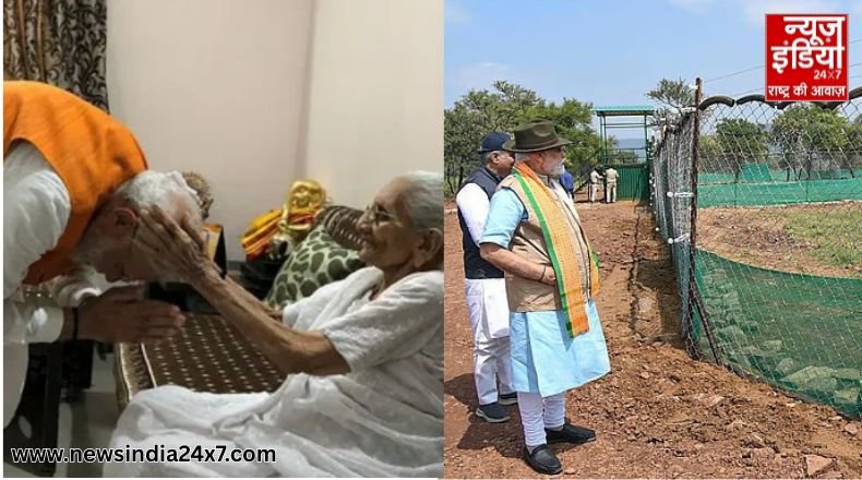 PM Modi 75th Birthday PM Modi 75th Birthday