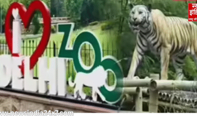 Bird Flu : दिल्ली जू में बर्ड फ्लू का खतरा बढ़ा, आईबिस पक्षी की मौत के बाद सख्त एहतियात