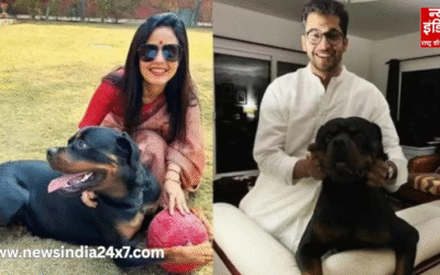 HC ने कहा- “आखिर कुत्ते की कस्टडी का विवाद बाहर क्यों नहीं निपटाया जा सकता?”