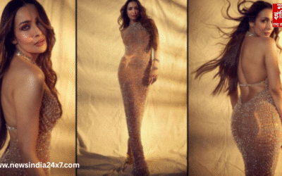 “शायद वह मेरे लिए काफी नहीं”, मलाइका अरोड़ा ने ट्रोल्स को दिया करारा जवाब