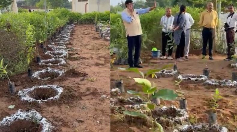 समावेश और संवेदनशीलता का संदेश