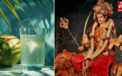 Navratri Special : व्रत में शरीर को हाइड्रेट और एक्टिव रखने के लिए बेस्ट ड्रिंक्स