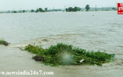 पंजाब में बाढ़ से 30 लोगों की मौत…2.56 लाख लोग प्रभावित, 1300 से ज्यादा गांवों में हालात गंभीर