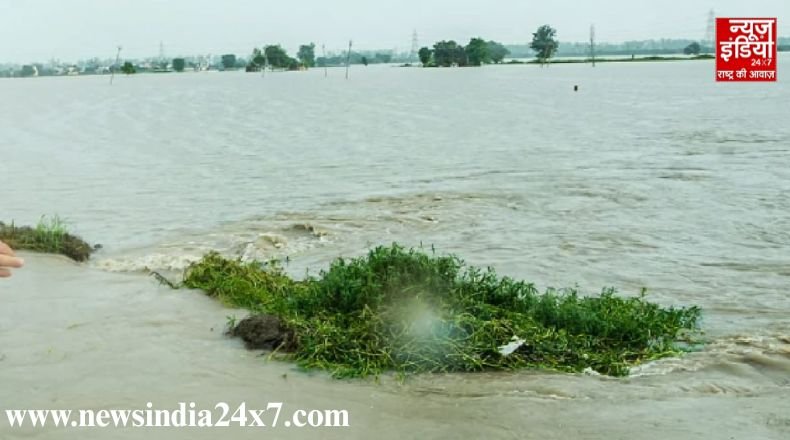30 people died due to floods in Punjab 2.56 lakh people affected
