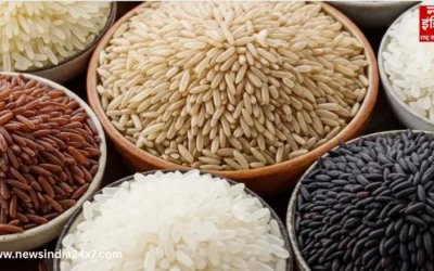 Red, Black, or Brown Rice : वजन घटाने में कौन सा है सबसे असरदार?