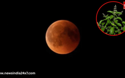 Sarva Pitru Amavasya 2025 : इस दिन सूर्य ग्रहण के बीच विशेष पूजा और उपायों से मिलेगा  कई लाभ