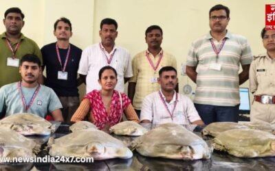 कछुओं की तस्करी का भंडाफोड़, कालका-हावड़ा एक्सप्रेस से 11 बड़े कछुए बरामद