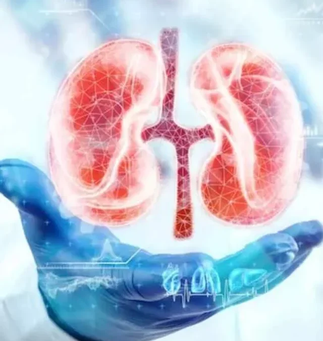 क्या आप भी किडनी की समस्या से जूझ रहे है? ये 5 फल जो अमृत से कम नहीं!