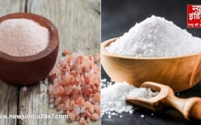 Navratri 2025 : सेंधा नमक और सफेद नमक; सेहत के लिहाज से कौन है बेहतर ?