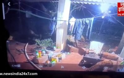 मध्य प्रदेश : किसान के घर के दरवाजे पर पहुंचा तेंदुआ, CCTV में कैद हुई घटना