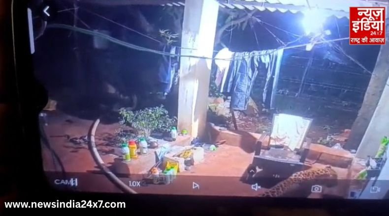 Madhya Pradesh News Madhya Pradesh News