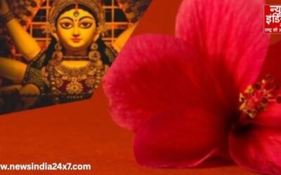 Navratri 2025 : गुड़हल का फूल मां दुर्गा को अत्यधिक प्रिय, जानें फूल का महत्व और चमत्कारी उपाय