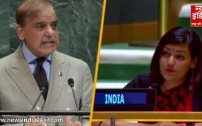 UN में भारत ने पाक को सुनाई खरी-खरी, हर एक झूठ को किया बेनकाब