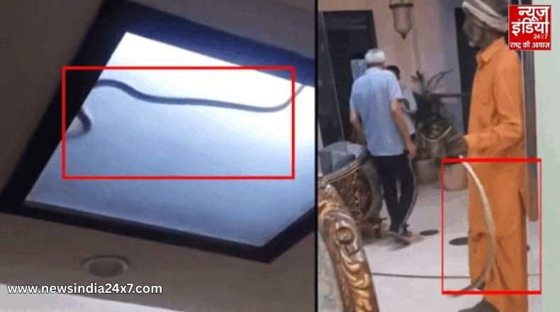 Noida News Noida News