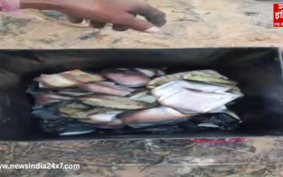 Alwar : आग ने किसान की झोपड़ी को किया राख, 10 लाख रुपये कैश जलकर खाक