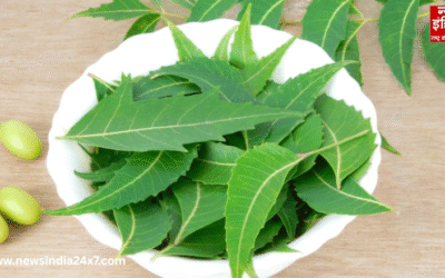 सुबह खाली पेट नीम की पत्तियों का सेवन, 4 बड़ी समस्याओं से मिल सकती है राहत