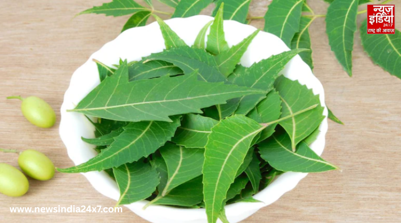 Chewing Neem Leaves Benefits