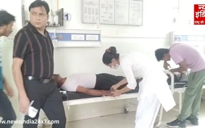 उज्जैन में मधुमक्खियों का कहर: मंदिर के पास 50 से ज्यादा लोग घायल, भगदड़ में मचा हड़कंप