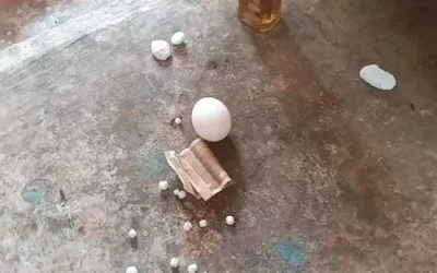 जहाँ अंडा-लड्डू से होती है पूजा! फिरोजाबाद के धनपुरा गाँव का अनोखा देवस्थान, जहाँ बच्चों के स्वास्थ्य के लिए मांगी जाती है मन्नत”