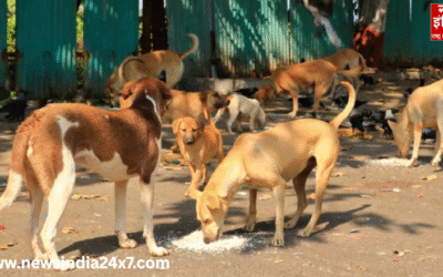 आवारा कुत्तों पर SC सख्त, हलफनामा न देने पर सभी राज्यों के मुख्य सचिव तलब