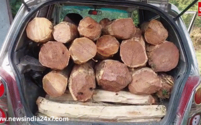 विकासनगर में खैर तस्करी पर वन विभाग की बड़ी कार्रवाई, कार और बाइक जब्त