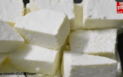 गाजियाबाद में मिलावट का घिनौना खेल: साढ़े सात कुंतल नकली पनीर का काला सच!