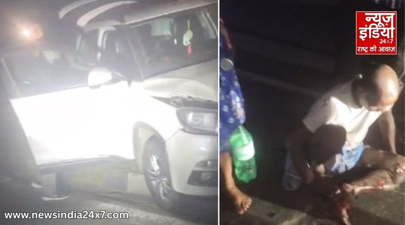 Uttar Pradesh News Uttar Pradesh News