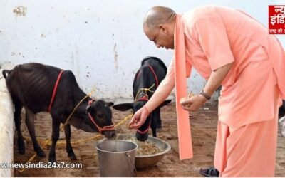 उत्तर प्रदेश में ‘काऊ टूरिज्म’ की शुरुआत, गोशालाओं को मिलेगा नया पर्यटन और व्यवसायी रूप